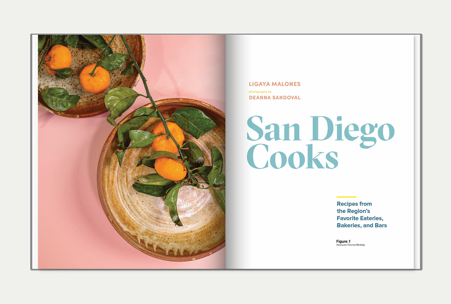 San Diego Cooks Cookbook
