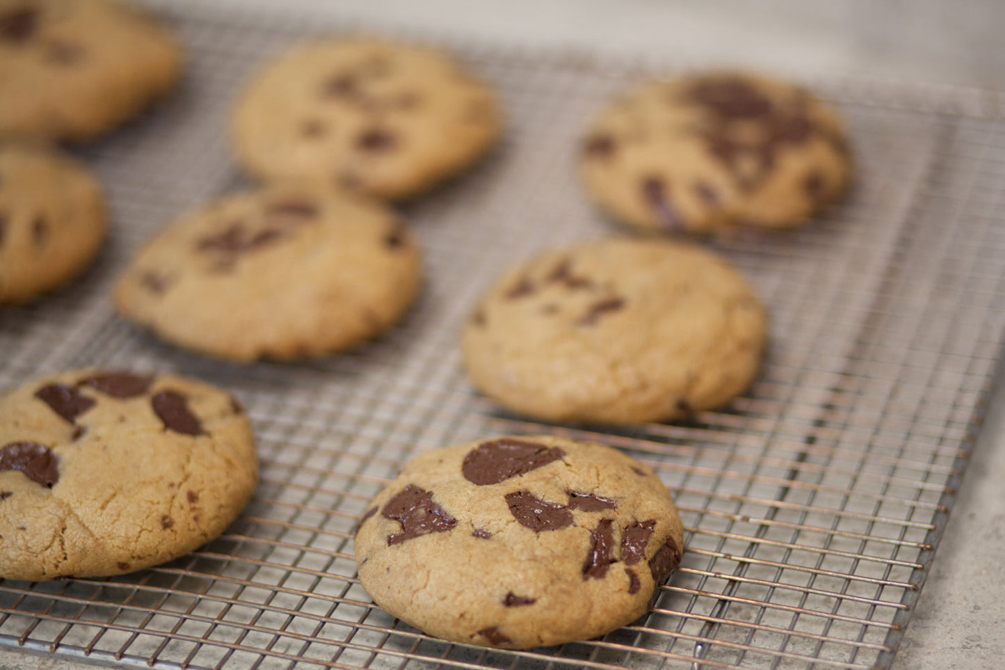 Cherry Chocolate Chip (Seasonal)