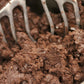Valrhona Dark + Milk Chocolate Brownie Cookie Dough (Seasonal)